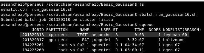 envio_slurm_sbatch.png